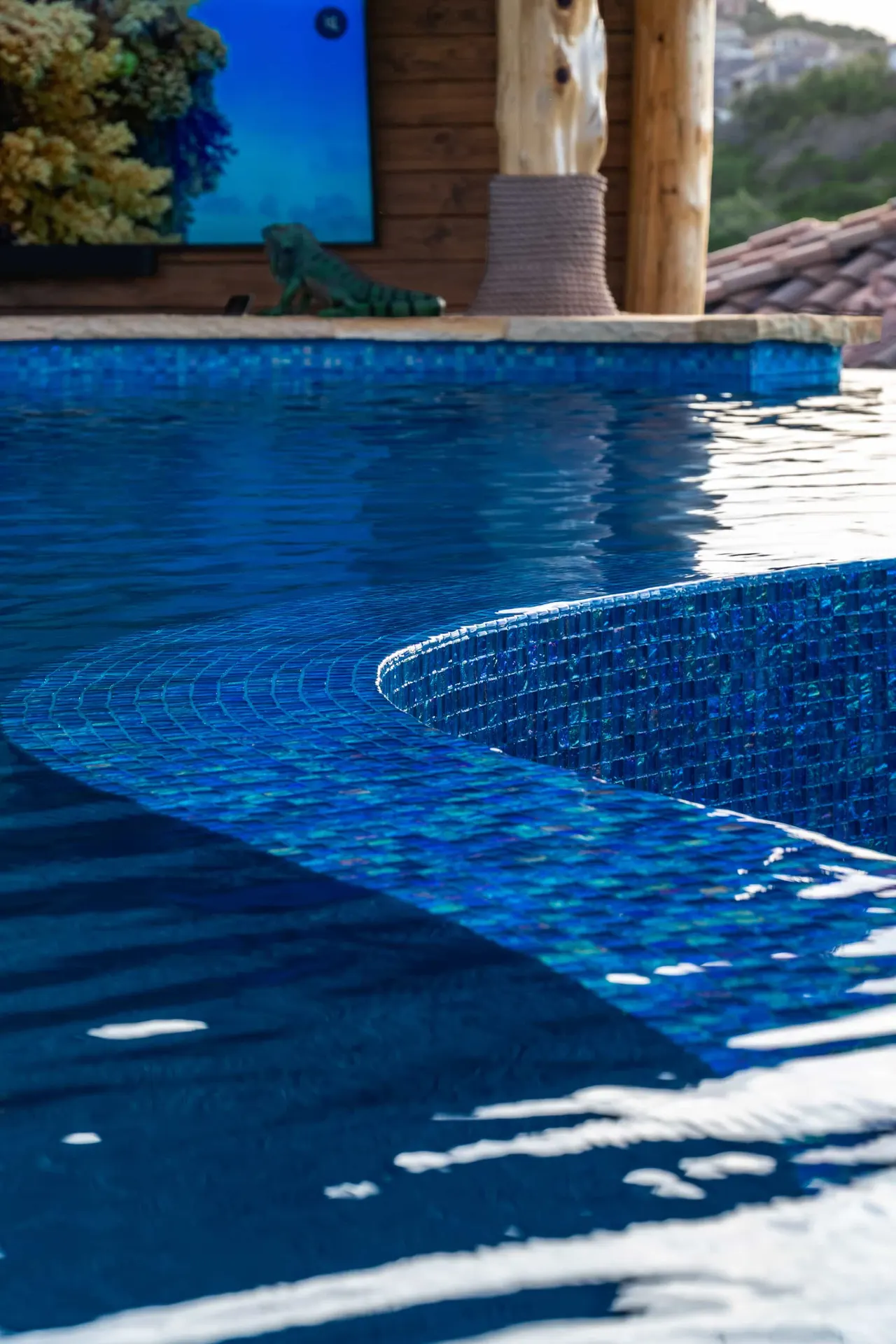 Palapa Lagoon — Freeform vanishing-edge pool in West Lake Hills, TX by GB IV Designs (photo 11)